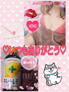  サクラSakura