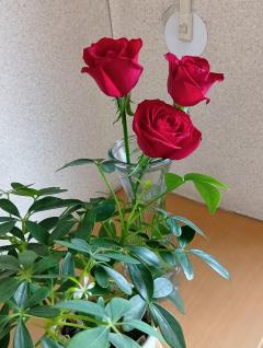 ✨💕🌈おはよう〰️🌈💕✨
メッセージ💬✨