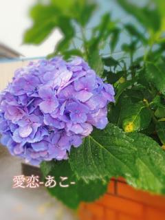 辛抱強く…??