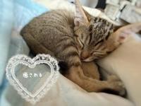 眠気が‥
