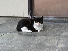 こんにちは