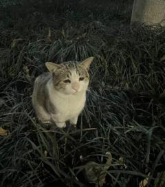 ゴメンなさい???