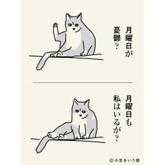 予定✨?