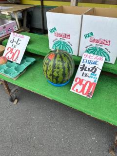 ゲット( *?ω?*)? ???!