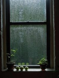雨足が強い