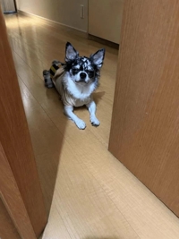 気づいたら、いた