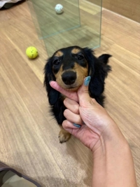 なにしてんの？