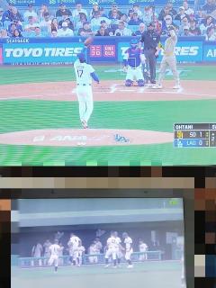 2026夏⚾️開幕🎉躍動