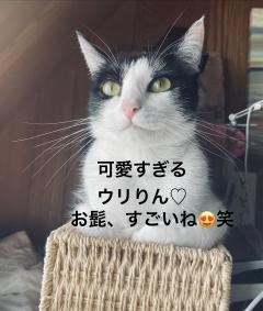 昭和（沖縄・完全個室プライベートエステ）(メンズエステ) 与那嶺綾子