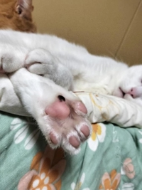 今日は19時から