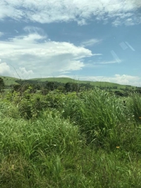 待ちナビ(福岡市) つき