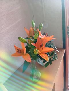 ご主人様いらっしゃい 大分店 ｳﾒ♡１人エッチ覗いてコース　地域限定有り