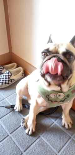 おかあさんといっしょ都城店 都城市デリヘル るみこ★最高エロリスト 写メ日記「暴れ棒が帰ってきた！！」