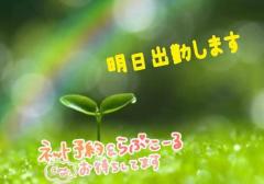 爆安＜元祖＞どすこい倶楽部 宮崎市デリヘル ★体験さおり★宮崎店 写メ日記「スケジュール」