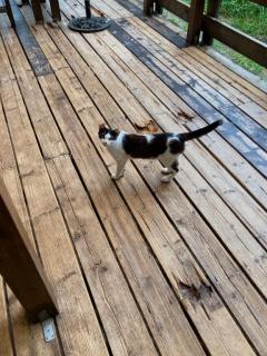 ありがとうございました