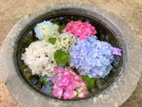 待ちナビ しずく 今福岡に来てます