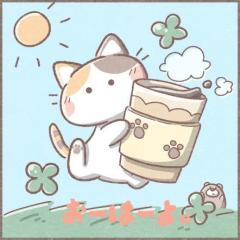 おーはーよ。
