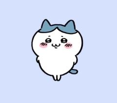 完売ありがとうございました♡
