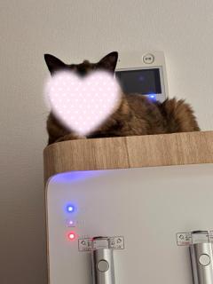 とある方へ ???