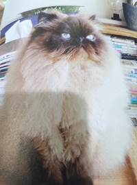 お早う御座います