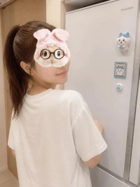 冷凍庫のスタメン紹介