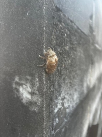 貸切です♀