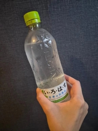 『手を借りるのは 肉球のある獣にしておけ』