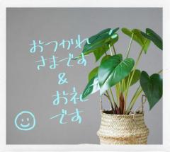 こんにちは