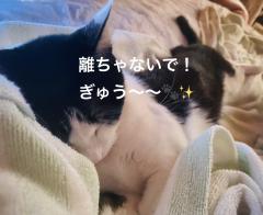  与那嶺綾子