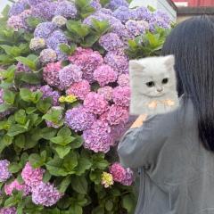 梅雨明け宣言??