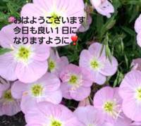 お疲れ様です