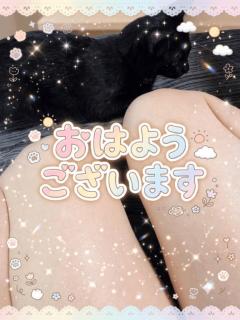 今日と明日