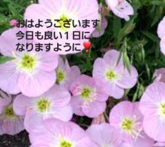お疲れ様です✨