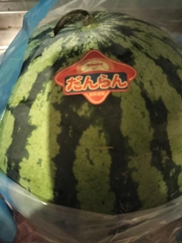 夏のお楽しみ