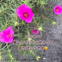 戻りました^ ^