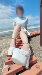 マドンナSANSAIN　さくら
