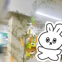 NEXT12日(日)＆13日(月)