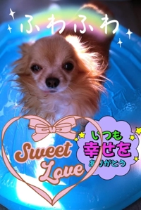 14（火）出勤(*^^*)