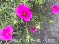 帰宅します