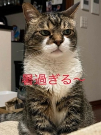 まるで