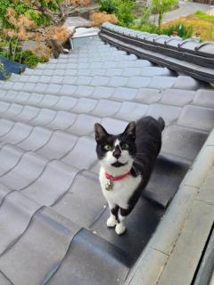 梅雨明け