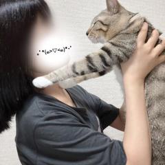 〇〇確定の飼い主の1日??