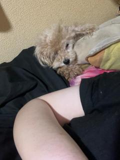 夜這い専門人妻俱楽部花魁　♡りおん♡