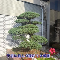 お礼日記