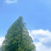 待機中です