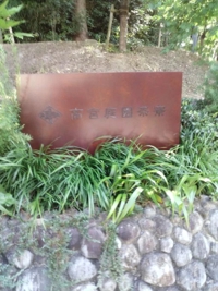 素敵でした