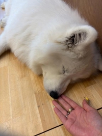 寝すぎて