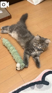 ご注意を