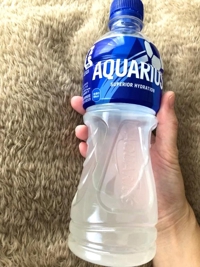 白うさぎ　るか