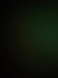 出勤しました